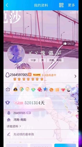 黄钻没了装扮还在不