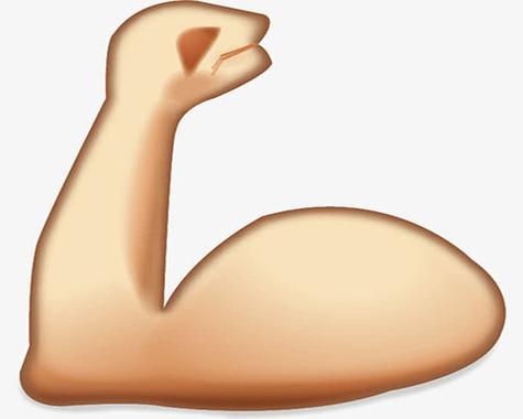muscles中文翻译