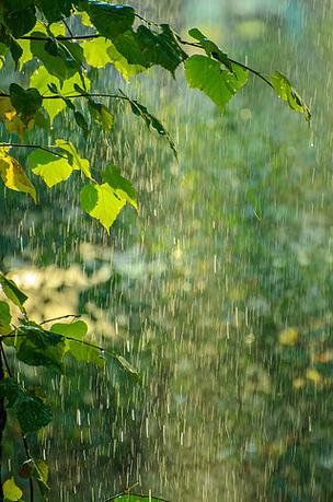 大雨图片