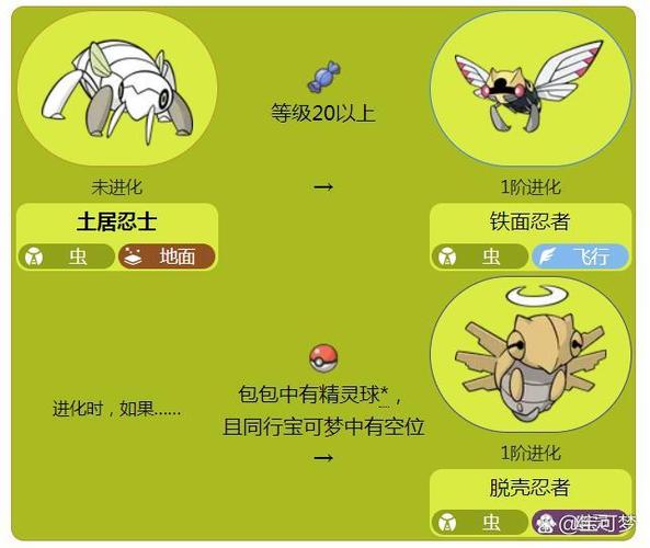 土居忍士的攻击招式