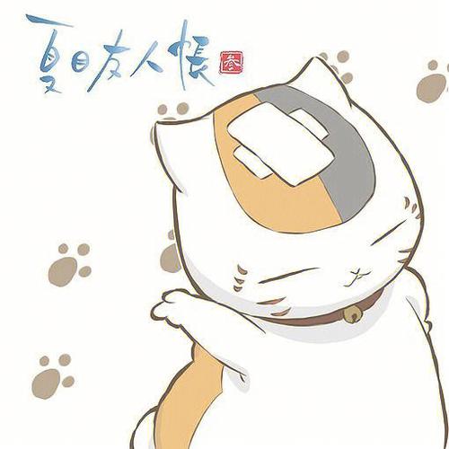 猫咪老师的头像
