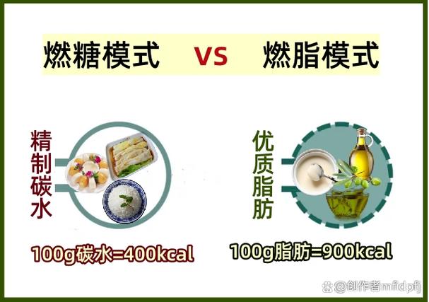 燃糖和燃脂的区别