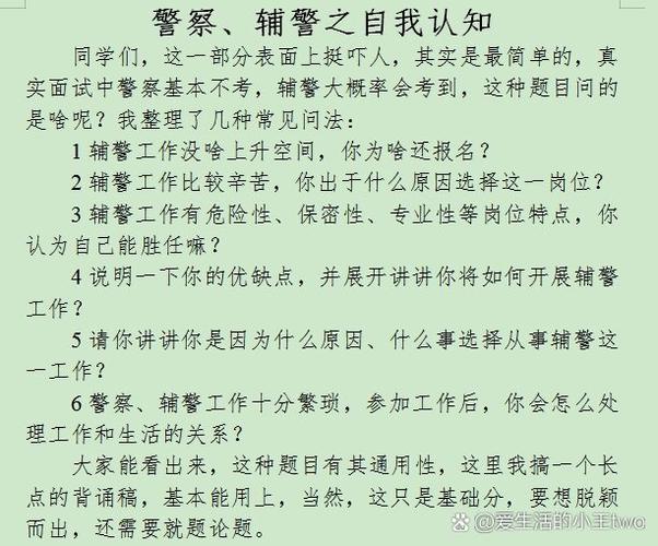 当警察的优势和劣势