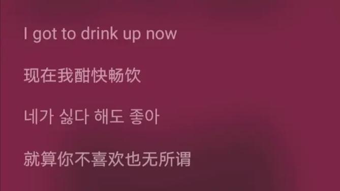 fate 翻译截图3