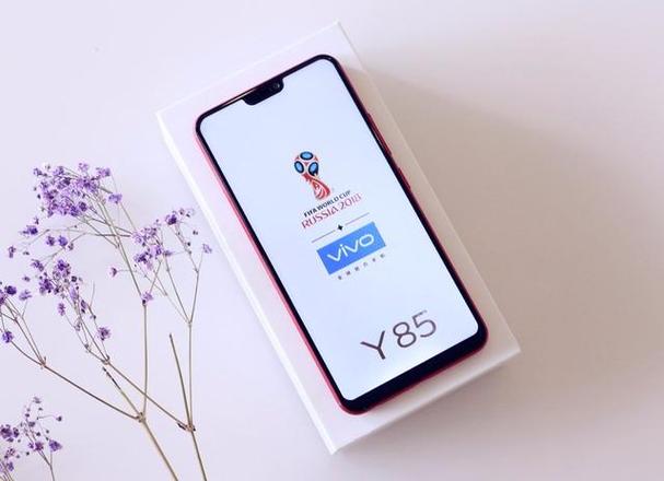 vivoy85多大内存