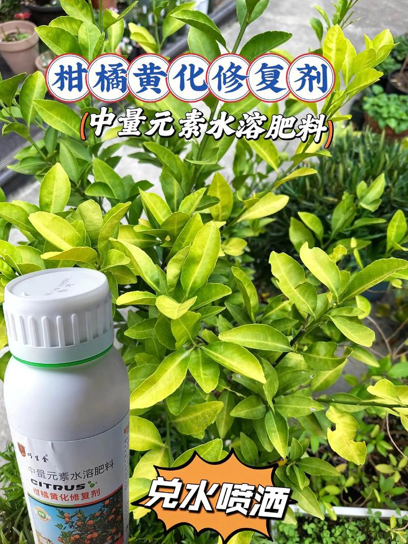 柑橘专用黄化宝