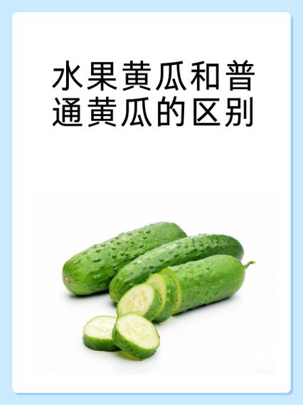 瓜类水果的营养价值