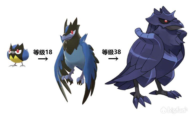 稚山雀