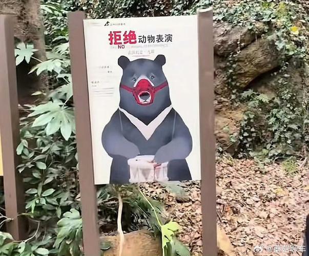 禁止动物表演