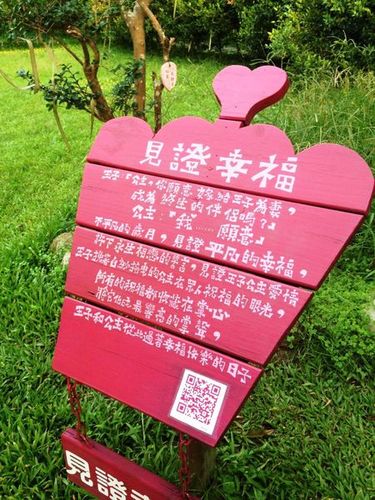 粉红泡泡小说全文免费阅读