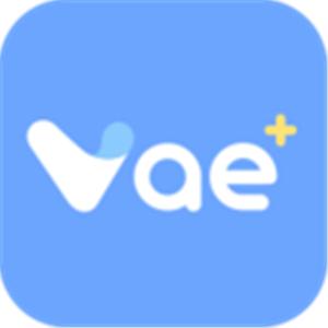 vae+下载了登不了