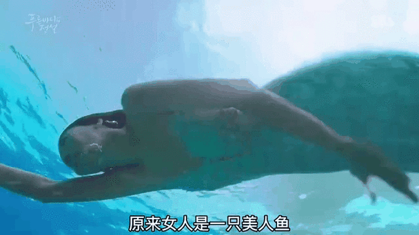 抓美人鱼做老婆