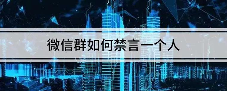 怎么单独禁言一个人截图3