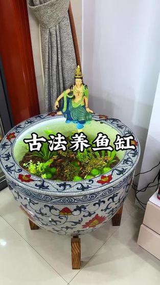 新手鱼缸开缸养水教程