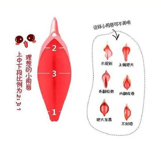 女性私密变黑是什么原因造成的