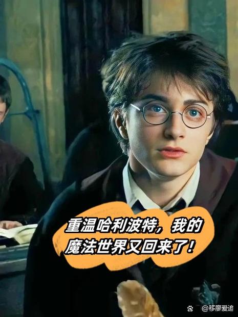 别人喊你哈利什么意思