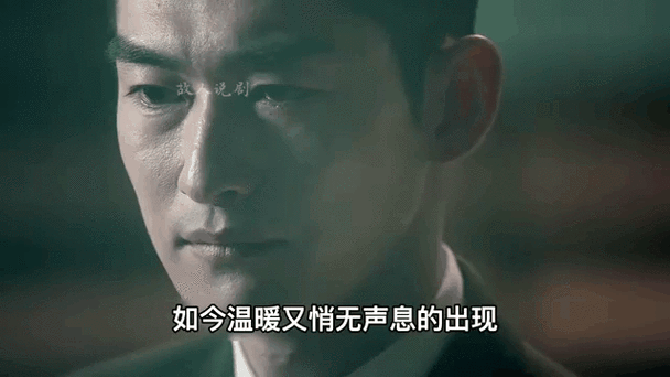 相遇1-40集免费看
