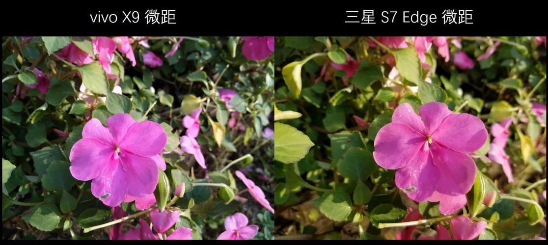 vivox9可以拍微距么