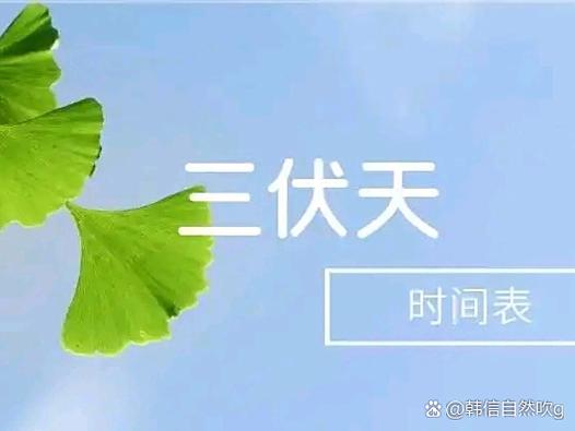 三伏天暗示什么