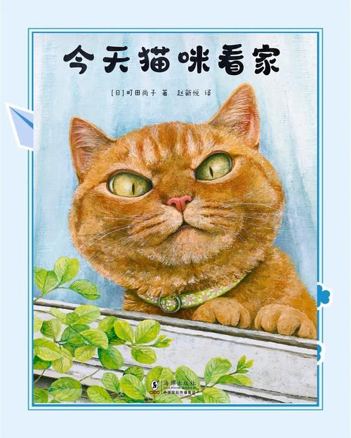 猫咪搜书旧版截图1