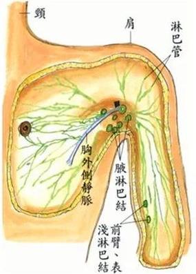 健康网挠腋窝最痒的方法