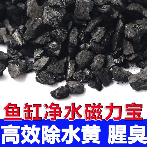 磁力宝对鱼有什么影响