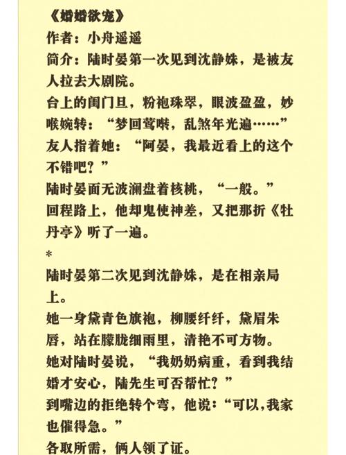 我那甜滋滋又多老婆小说免费阅读
