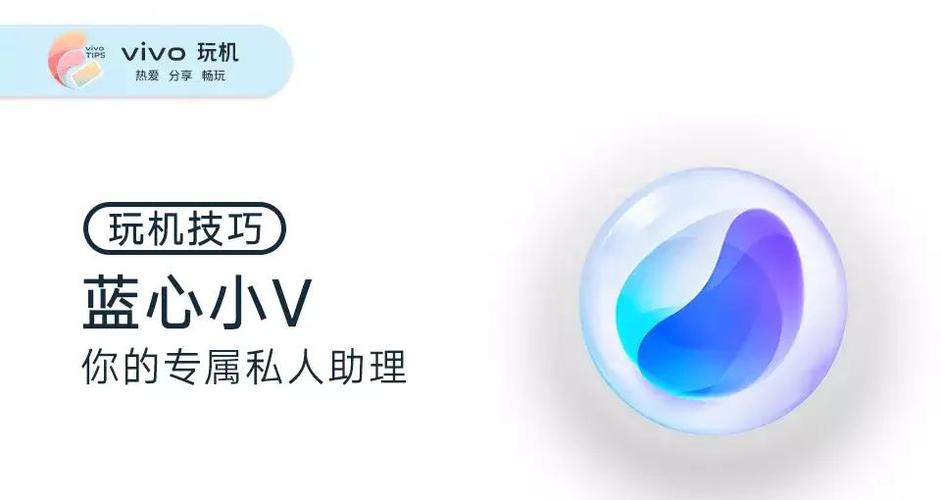 蓝心小v下载安装包