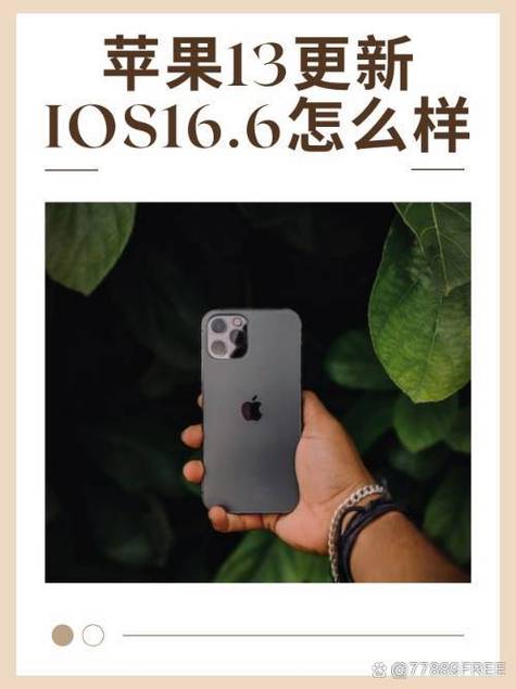 苹果13版本下载截图2
