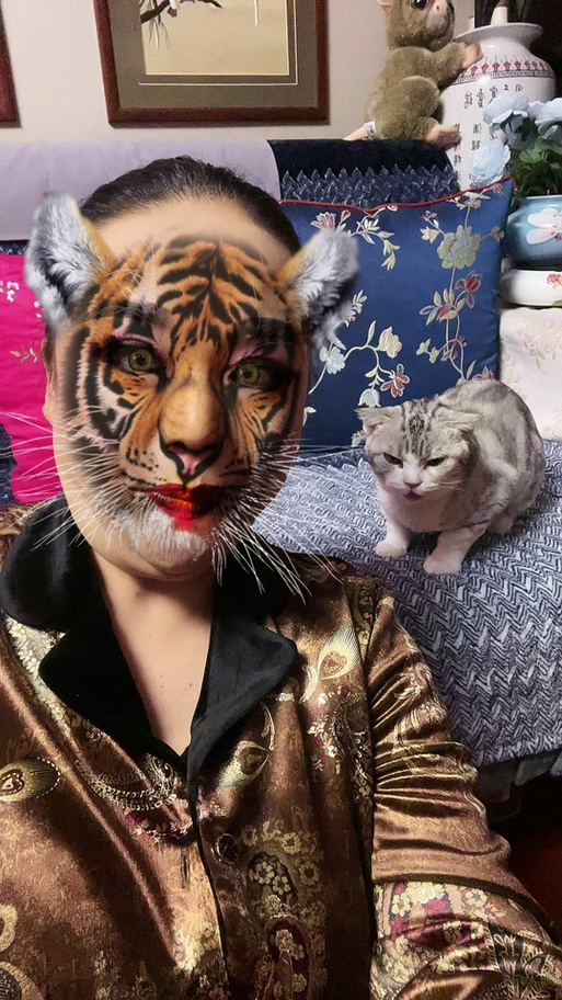 边姐的猫换大米