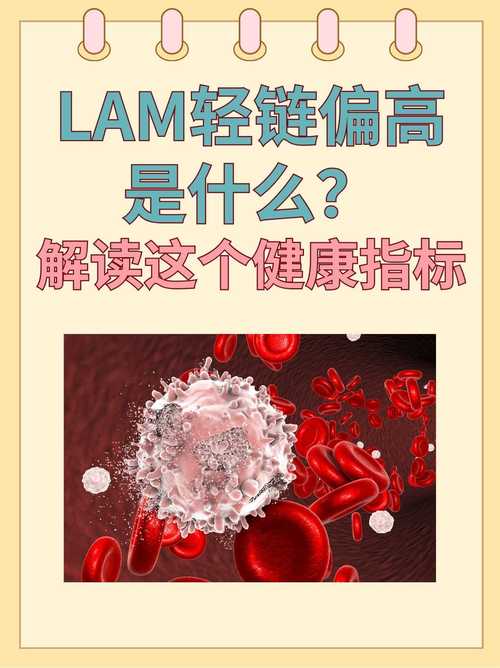 轻链是什么意思