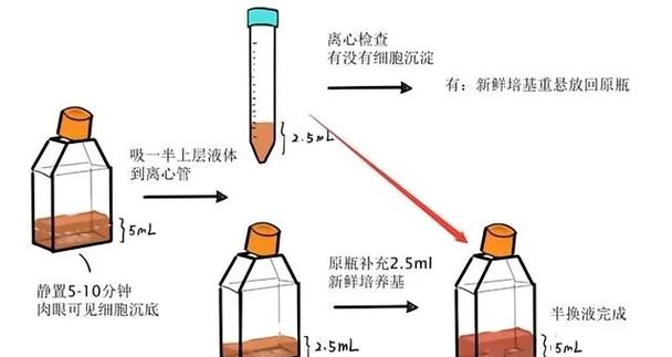 细胞培养液