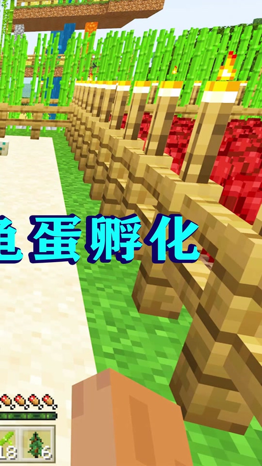 我的世界海龟蛋孵化介绍