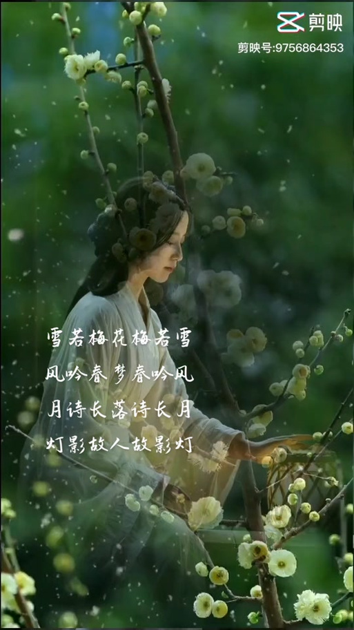 吟风最出名十首诗