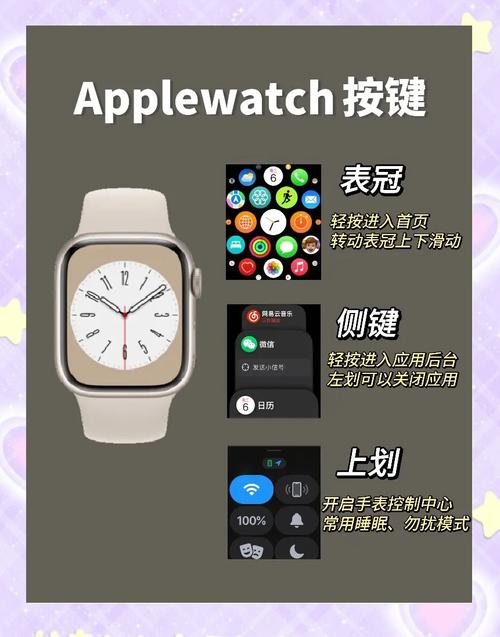 apple watch怎么用