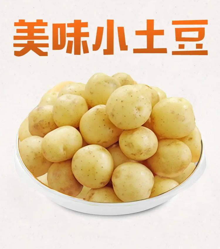 我的小土豆pao下载