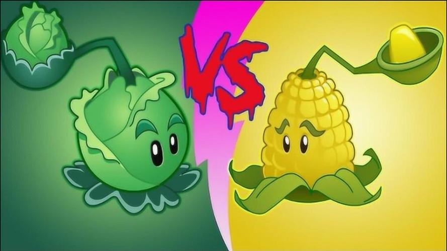 卷心菜投手和玉米投手