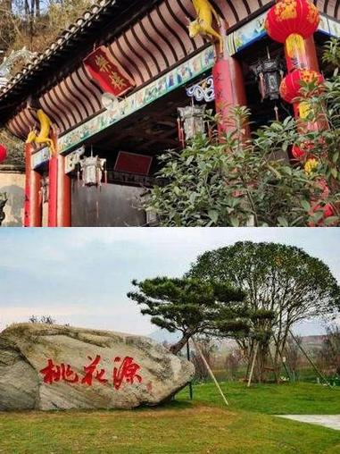 桃花源暗示什么