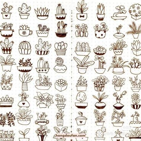 100种植物简笔画
