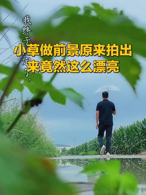 照片拍虚了如何处理