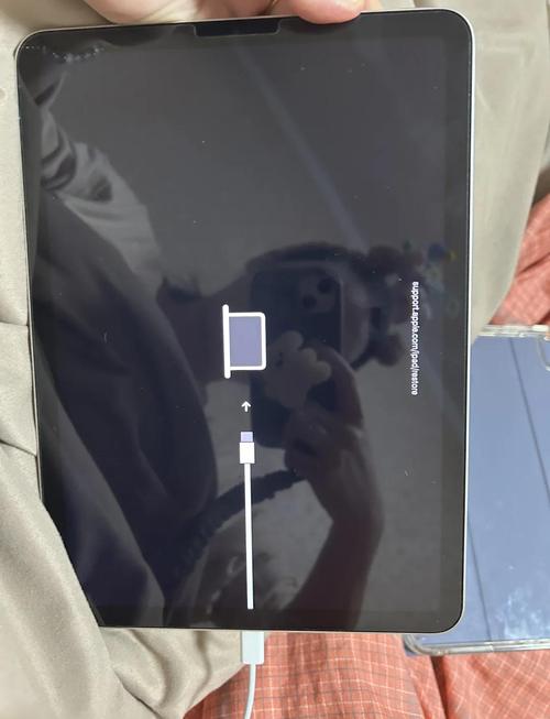 ipadpro第一次开机开不了