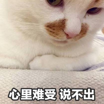 心里难受说不出来的感觉图片