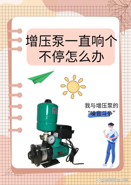 循环泵发出尖叫声
