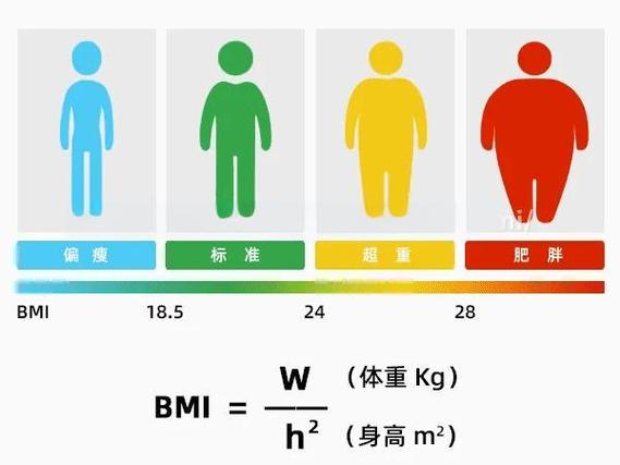 bmi计算公式怎么算截图3