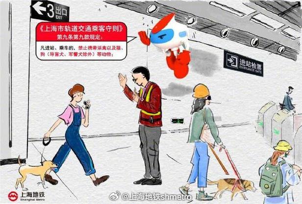 地铁让不让带猫