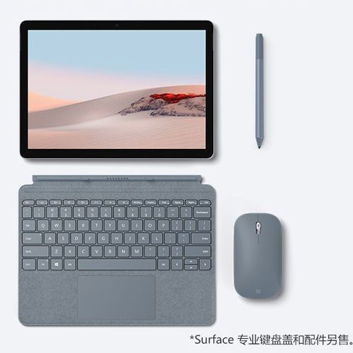 surface装win10