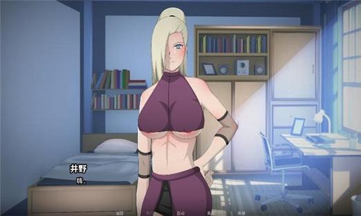 忍者的仆人下载
