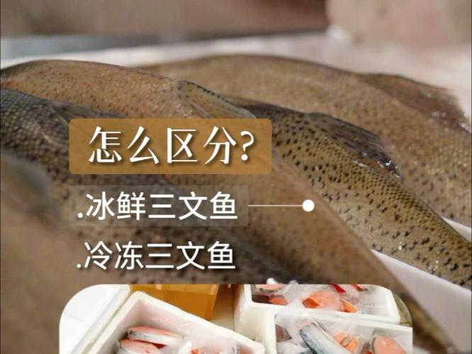 三文鱼冷藏还是冷冻