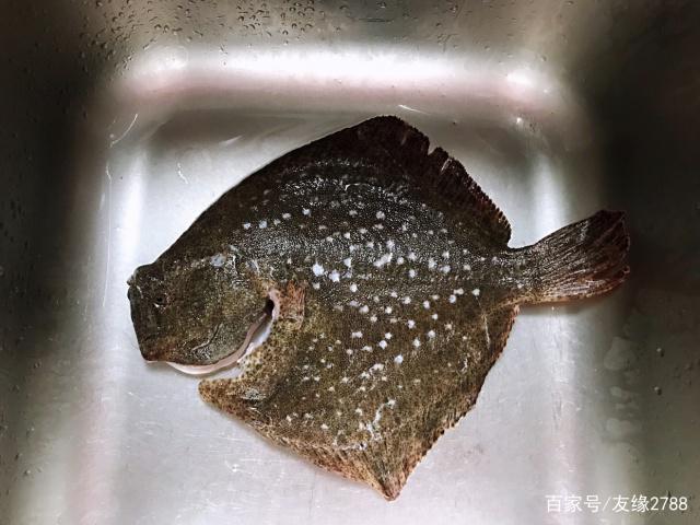 多宝鱼如何清洗干净