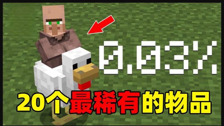 我的世界稀有资源
